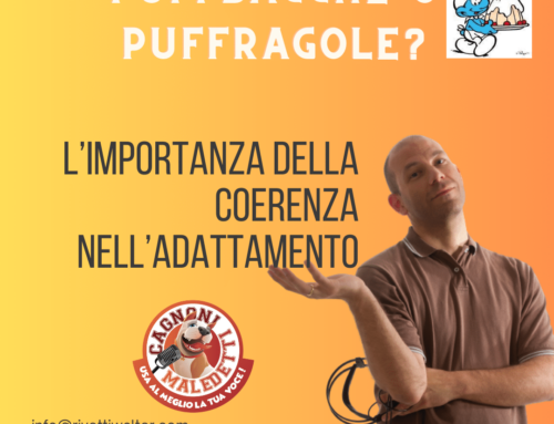 L’importanza della coerenza nell’adattamento dei dialoghi